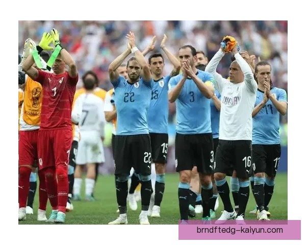 乌拉圭队战术亮点解析，表现稳健助力球队持续进步