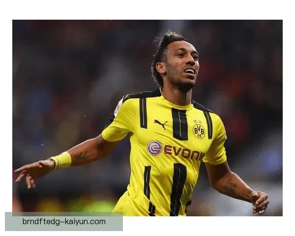 雷吉纳转会策略分析：面临挑战，需寻找性价比高引援方式